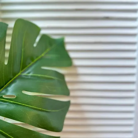 Apartamento Avenida Centro Guixar Vigo