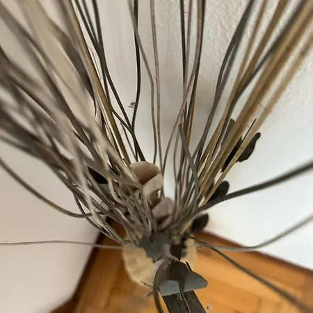 Apartamento Avenida Centro Guixar *