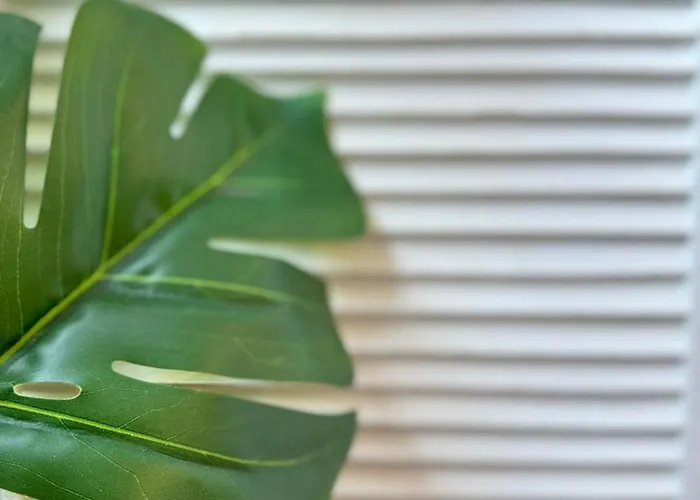 Apartmán Avenida Centro Guixar Vigo