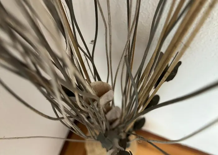 Apartmán Avenida Centro Guixar *