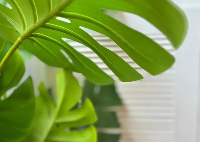 Avenida Centro Guixar Lägenhet Vigo